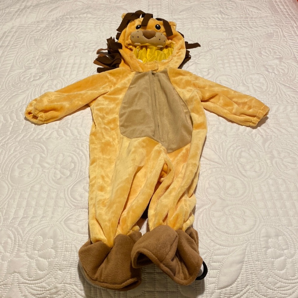 Lion costume